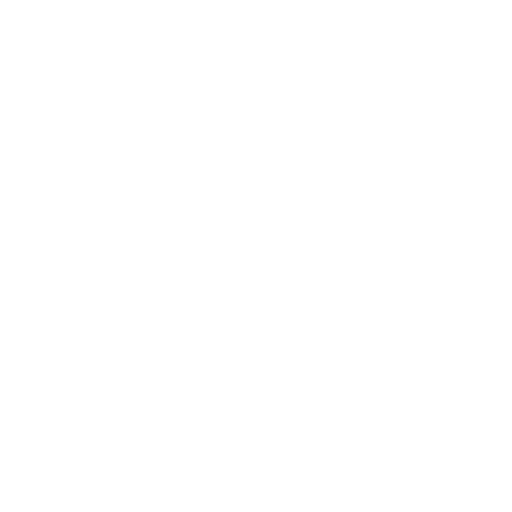 Bereal White Icon in SVG, PNG formats