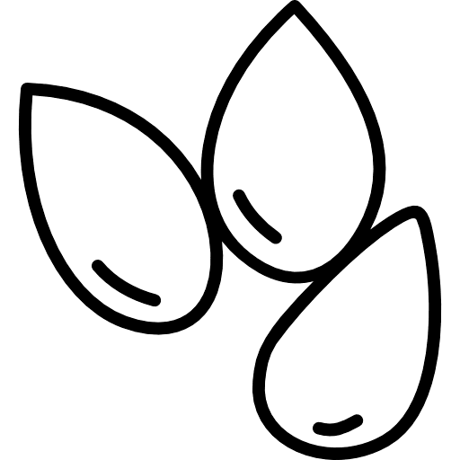 Sesame Outline Icon in SVG, PNG formats