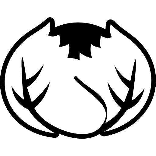 Cabbage Outline Icon in SVG, PNG formats
