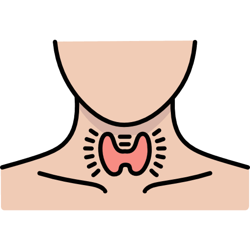 Human Neck Butterfly Shaped Thyroid Gland Icon in SVG, PNG formats