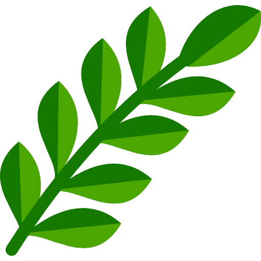 Fern Color Icon in SVG, PNG formats