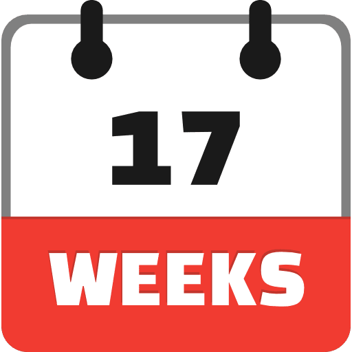 17 Weeks Icon in SVG, PNG formats