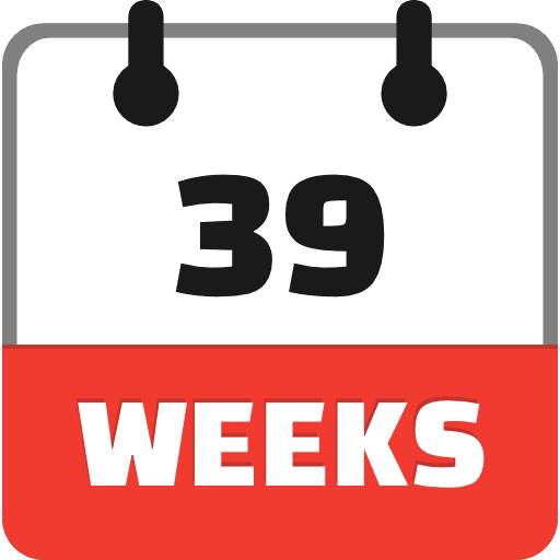 39 Weeks Icon in SVG, PNG formats