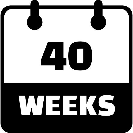 40 Weeks Black Icon in SVG, PNG formats